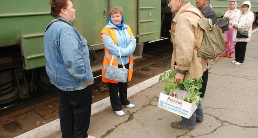 Усольские пенсионеры смогут бесплатно ездить на пригородных поездах этим летом
