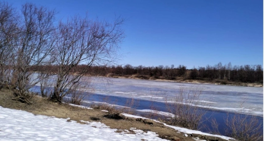 Такой весны на нашем веку не было: синоптики установили даты прихода аномальной жары
