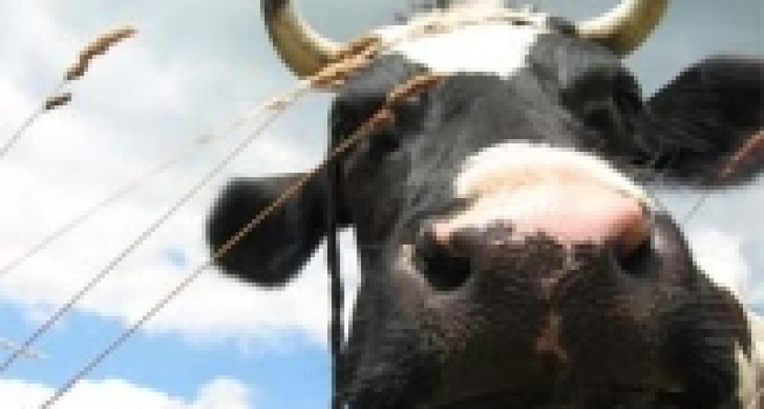 Возвращённые субсидии