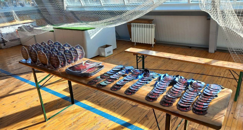 Открытый турнир по самбо состоялся в Усольском районе