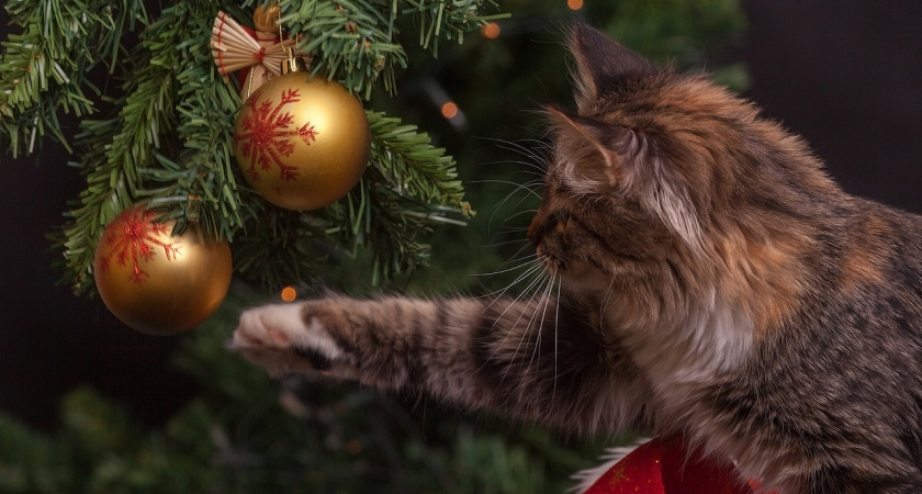 Как украсить дом к встречи года змеи