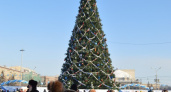 Общественность Усолья-Сибирского проголосовала за покупку новогодней искусственной ели
