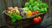 Названы продукты, выводящие токсины из организма