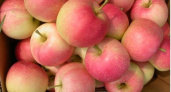 На рынках Приангарья могут продаваться яблоки Гала с высокотоксичным веществом