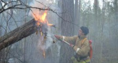 В Иркутской области за две недели потушили 17 пожаров
