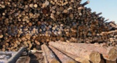 ЗС Приангарья: в закон об административной ответственности за прием и отгрузку древесины планируется внести изменения