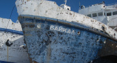 Байкальский диктант привлек внимание не только жителей Иркутска