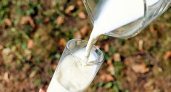 В Роспотребнадзоре дали рекомендации по употреблению молочной продукции