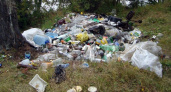 Приангарье с каждым годом всё больше утопает в мусоре