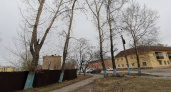 В Усолье-Сибирском и Усольском районе за выходные дни сотрудники ГИБДД задержали 12 нетрезвых водителей