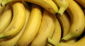 Названы 7 продуктов, которые необходимо есть в определенное время