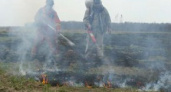 В области борются с торфяными пожарами