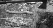 Суд вынес приговор по уголовному делу об убийстве 2 мужчин и женщины в Усольском районе 