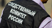 Расследование случаев оставления в опасности предлагают отнести к компетенции СК