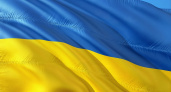 Зеленский предложил Путину встретиться в «украинском Донбассе»