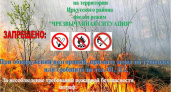 Режим ЧС из-за пожаров объявлен на территории Иркутского района