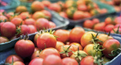 Мишустин нашел главную причину роста цен на продукты