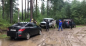 В Усольском районе увеличена группировка сил и средств, привлеченных к розыску пропавшего грибника