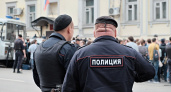 Полицию обяжут передавать информацию о судимостях кандидатов на выборах