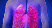 Хирург Зинченко рассказал о сроках восстановления легких бывших курильщиков