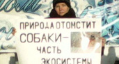 Власти Иркутской области позовут зоозащитников считать бездомных животных