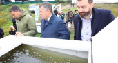 В реку Усольского района выпустили 100 тыс. трехмесячных мальков сазана