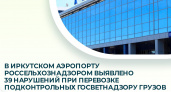 Более трёх десятков нарушений выявили в пункте пропуска аэропорта Иркутска за неделю