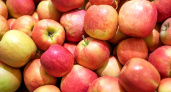 Красные, зелёные, жёлтые: какие яблоки самые полезные - запомните на всю жизнь