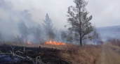 Непотушенный окурок обернулся огромным счётом: виновник лесного пожара в Иркутской области заплатит за беспечность