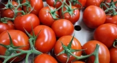 Сажаем только эти 2 сорта помидоров — и нарадоваться не можем: слаще меда и весом под 1 килограмм