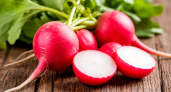 5 ложек на ведро — и редис попрет как на дрожжах: вырастет крупным и сочным — мощная подкормка