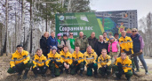 В Иркутской области лес очистили от многолетнего хлама
