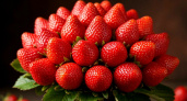 Букет из клубники: необычный и вкусный подарок для любимых