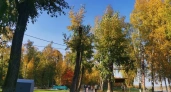 Синоптики дали неутешительный прогноз на лето. Июль и август будут просто отвратительными