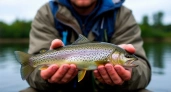 Сидел часами без клёва - теперь 10 минут и удочка трещит от поклёвок: секрет успеха - в приманке