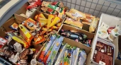 Кишечная палочка, плесень и "пальма": в Роскачестве назвали мороженое, которое запрещено давать детям