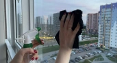 2 пакетика в воду - окна чистые до поздней осени: без пыли и разводов - как мыть
