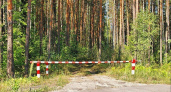 Иркутская область закрывает леса