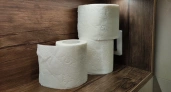 Названа самая лучшая туалетная бумага: мягкая, безопасная и растворяется в воде, не засоряя трубы