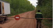 Иркутская область запрещает походы в лес