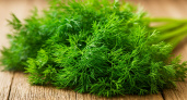 Зелень больше не замораживаю и не сушу на зиму: делаю из укропа, петрушки и чеснока душистую приправу, хранить можно годами