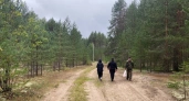 Грибников будут задерживать и штрафовать прямо в лесах: это строгое правило вводится с 10 июля