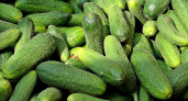 Огурцы пролежат в холодильнике целый месяц: вот как их хранят хитрые хозяйки