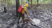 Лесные пожарные Иркутской области одержали победу над стихией