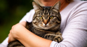 Разгадана тайна: вот почему кошки выбирают определённых людей