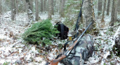 Незаконная охота в Иркутской области обернулась крупными штрафами и условными сроками