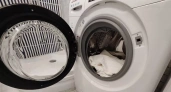 Зажмите 2 кнопки - и стиральная машина сама очистится от грязи, плесени и остатков порошка: секрет вечной службы