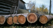 Предприниматели в Иркутской области пытались контрабандой вывезти лес за рубеж
