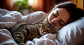 Как кошки выбирают, с кем спать из хозяев и что на самом деле влияет на их решение?
