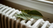 При включении отопления кладу лавровый лист на батарею - и бед не знаю: лайфхак умных хозяек